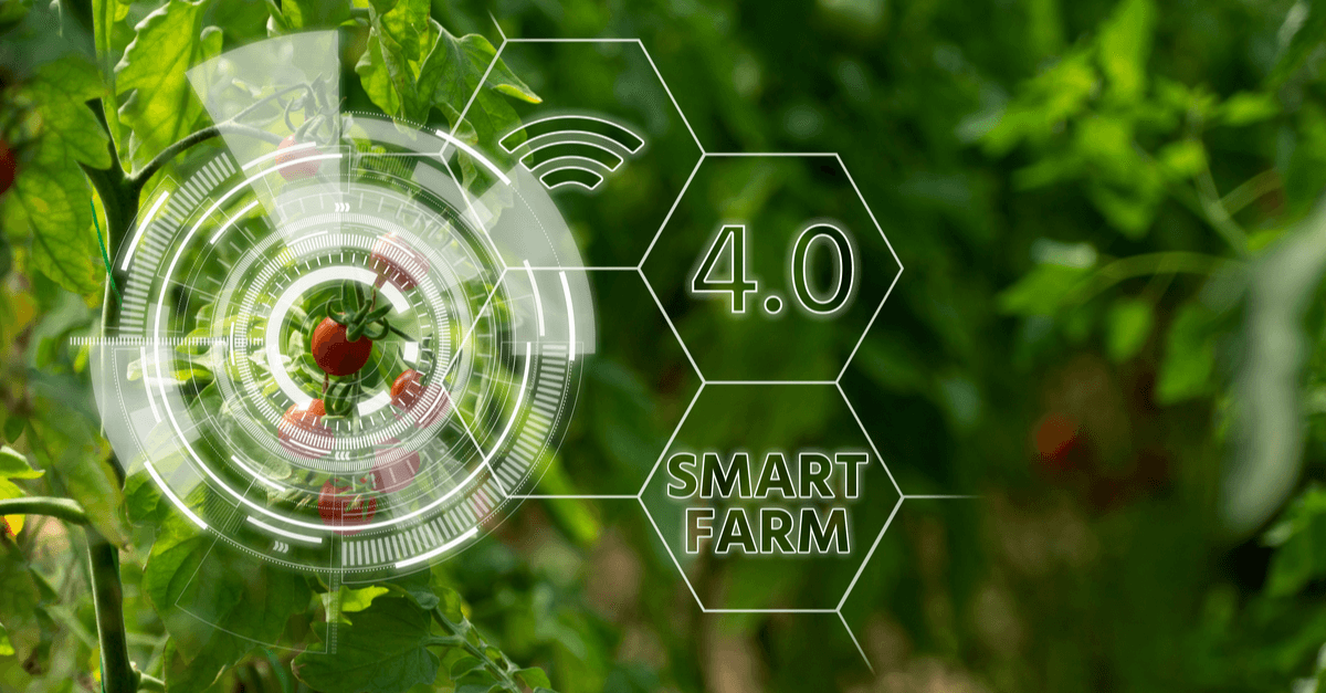 Photo by Lorenzo Herrera