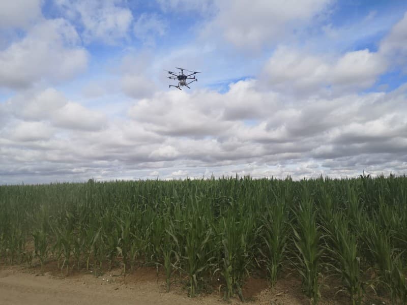 Photo by Lorenzo Herrera