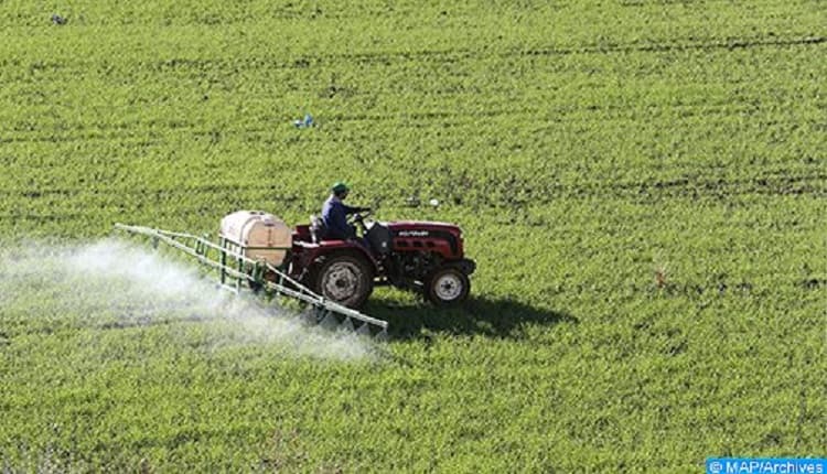 Photo by Lorenzo Herrera