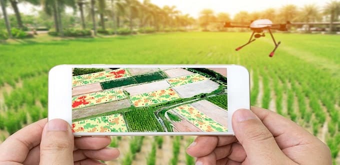 Photo by Lorenzo Herrera