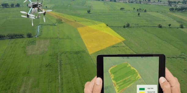 Photo by Lorenzo Herrera