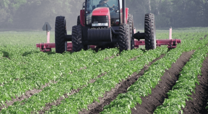 Photo by Lorenzo Herrera