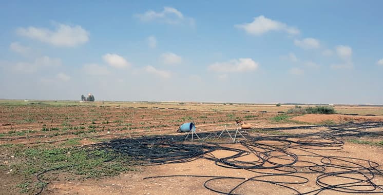 Photo by Lorenzo Herrera