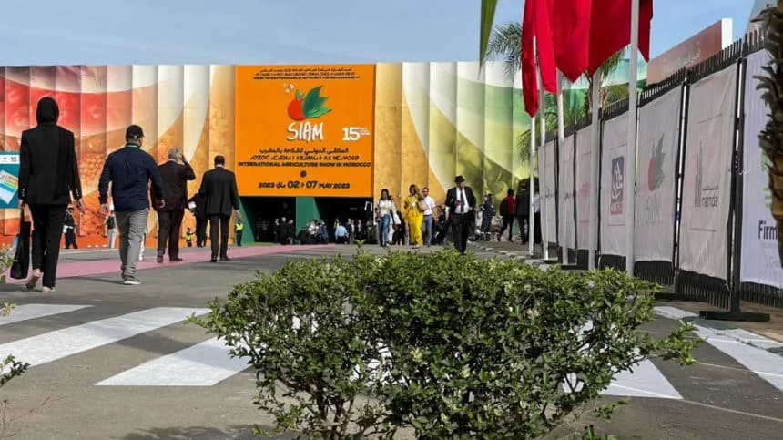 Photo by Lorenzo Herrera