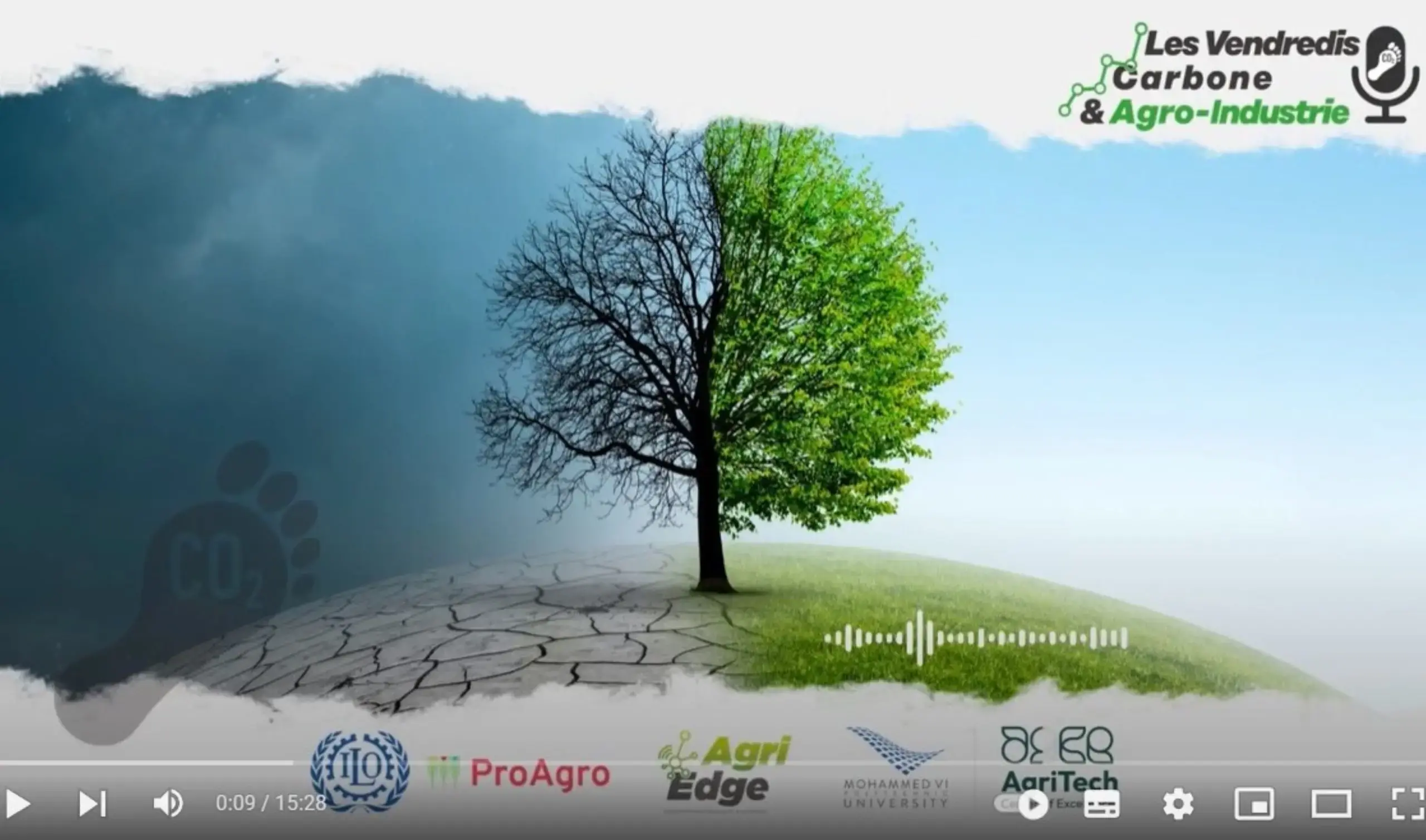 Photo by Lorenzo Herrera