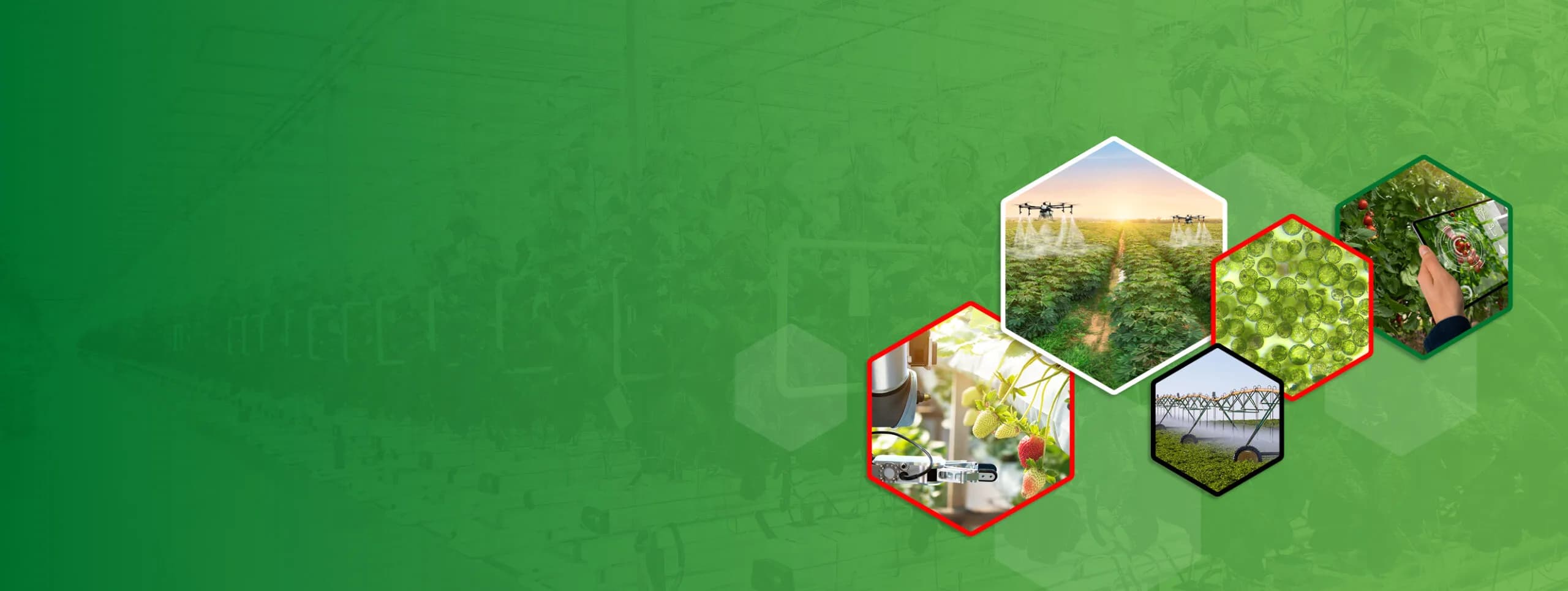 Photo by Lorenzo Herrera